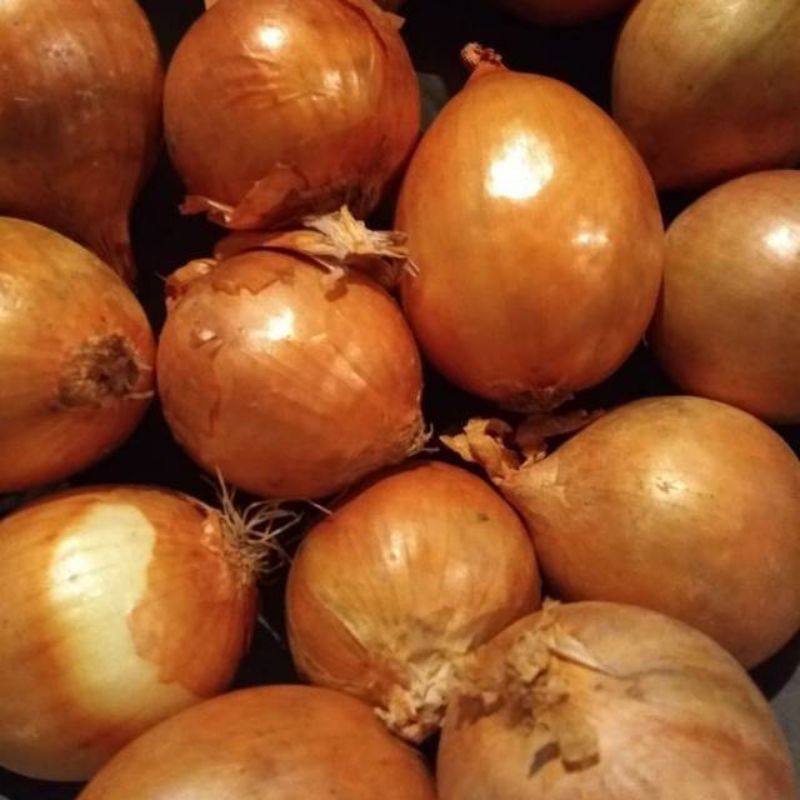 

Bawang bombay bombai 250 gram