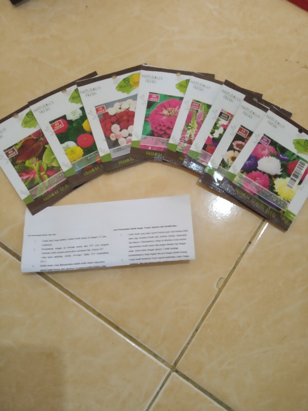Benih-bibit Bunga Zinnia Ungu/purple Prince (haira Seed)
