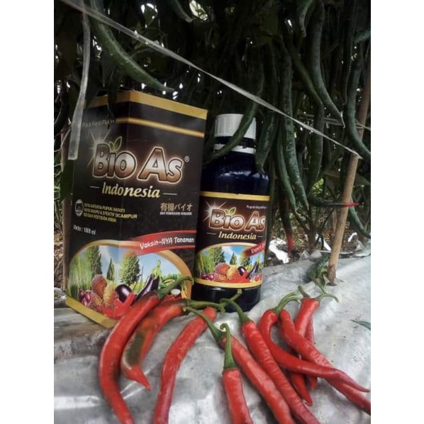Bio As/original PT BAF JATIM/pupuk cair organik/pupuk hayati plus/pupuk daun terbaik merangsang pert