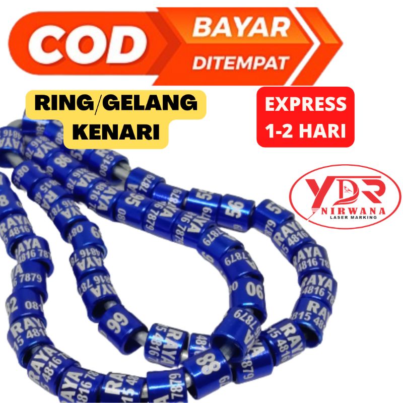 RING KENARI LASER RING BURUNG KENARI