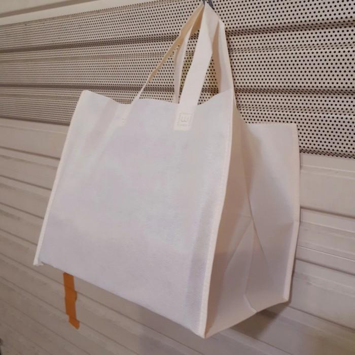 

Goodiebag Tas Kain Bahan Spunbond Ukuran Box 25X25 Variant Warna