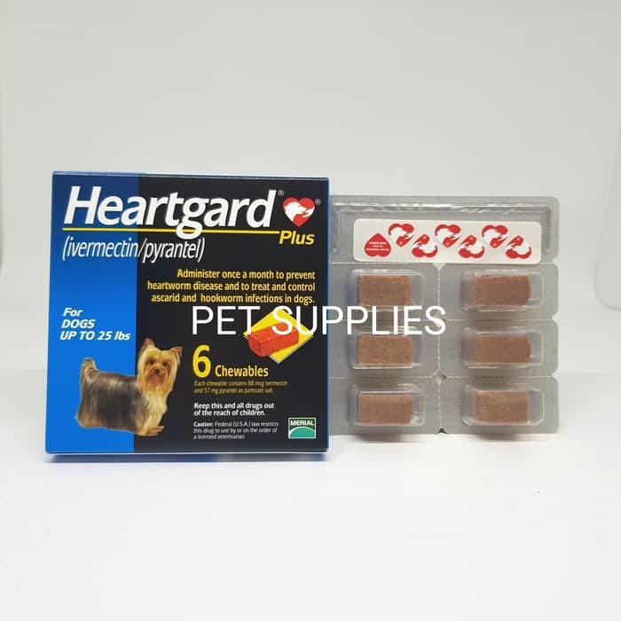 pet supplies plus ferrets