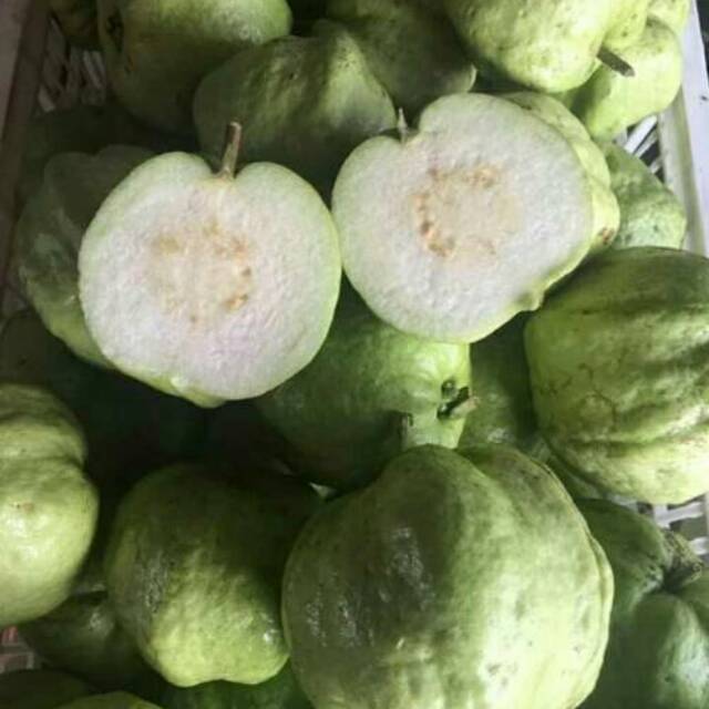 

Jambu Kristal Segar 1kg