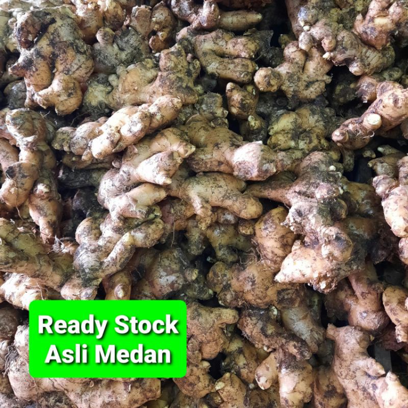 

Jahe Medan 500g