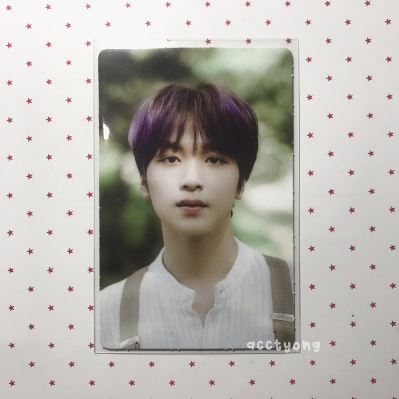 haechan dad (dream a dream)