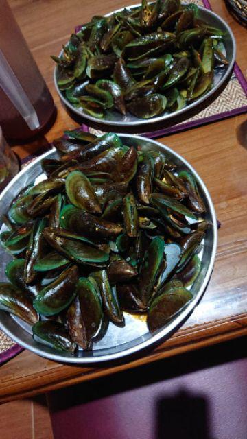 Kerang Hijau Kuah Bumbu Kuning - Kondisi air laut di teluk ...