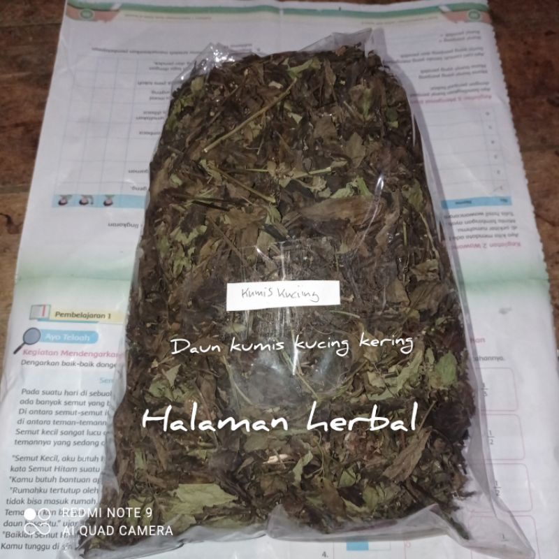 

daun kumis kucing kering /250 gram