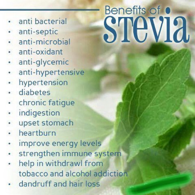 Health Paradise ‘Organic Stevia Powder’ (130gr)