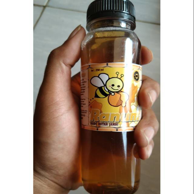 

Madu Asli Hutan Jambi "Ranum" 250ml