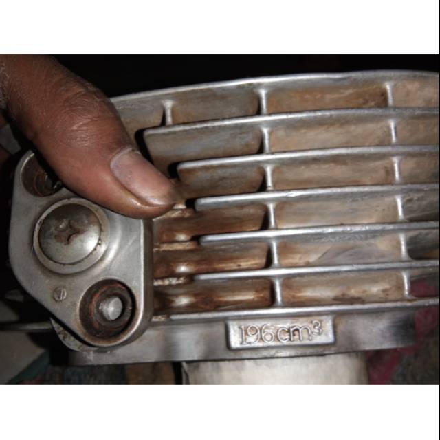 Boring tiger ori copotan