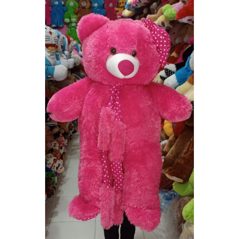 

Beruang jumbo