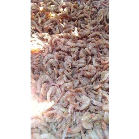 

Udang crispy (1kg)