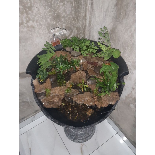 kolam paludarium - taman paludarium