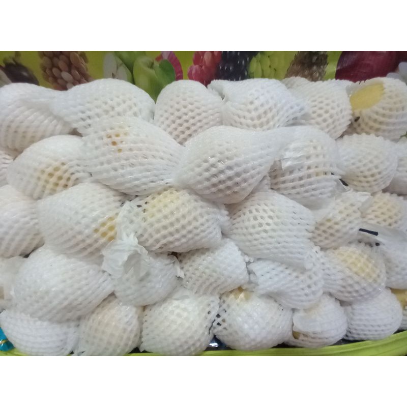 

PIR YALI shandong china