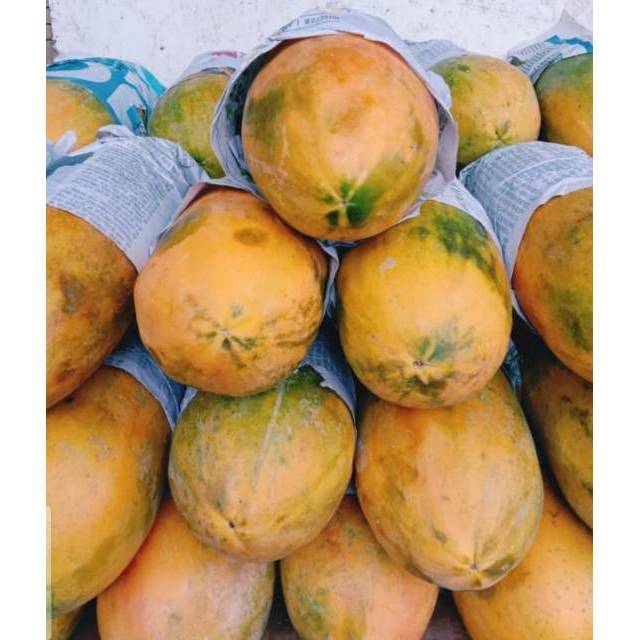 

Pepaya caLifornia manis 1 buah khusus medan