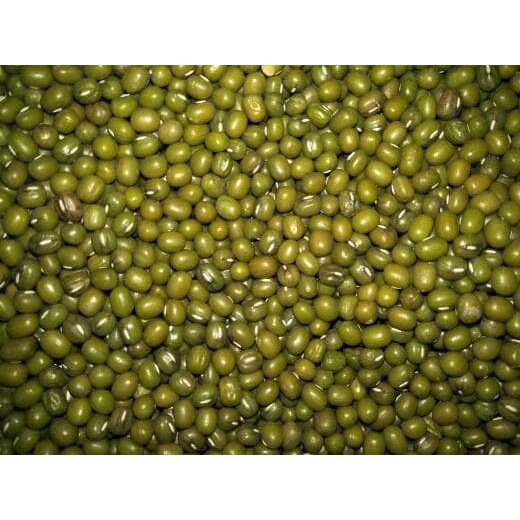 

Q1254521 Kacang Hijau Bening Dw51Sqs