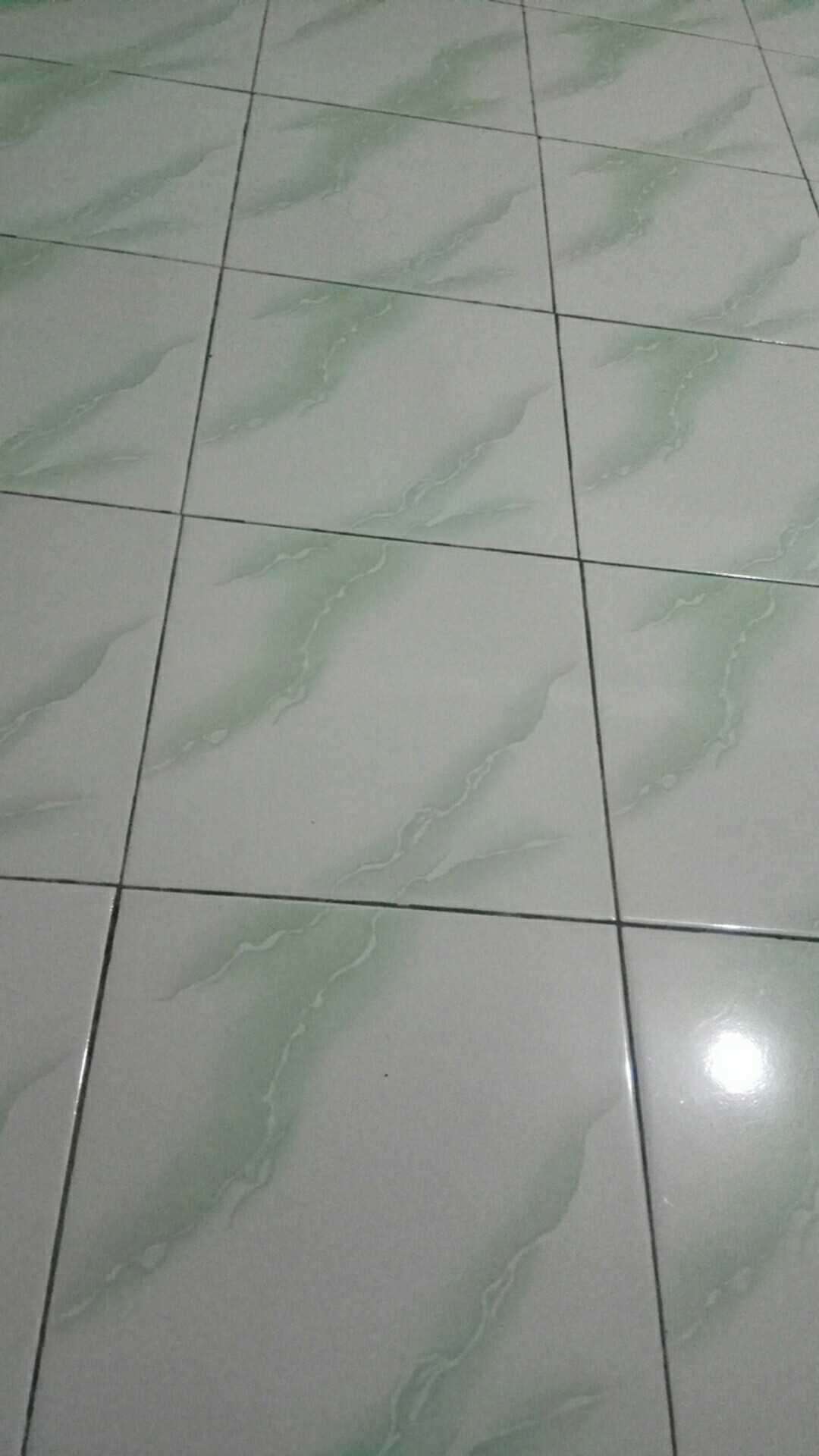 Selimut Bulu Halus Ukuran King 180x200 Motif Kaktus Tebal List Termurah Terlaris