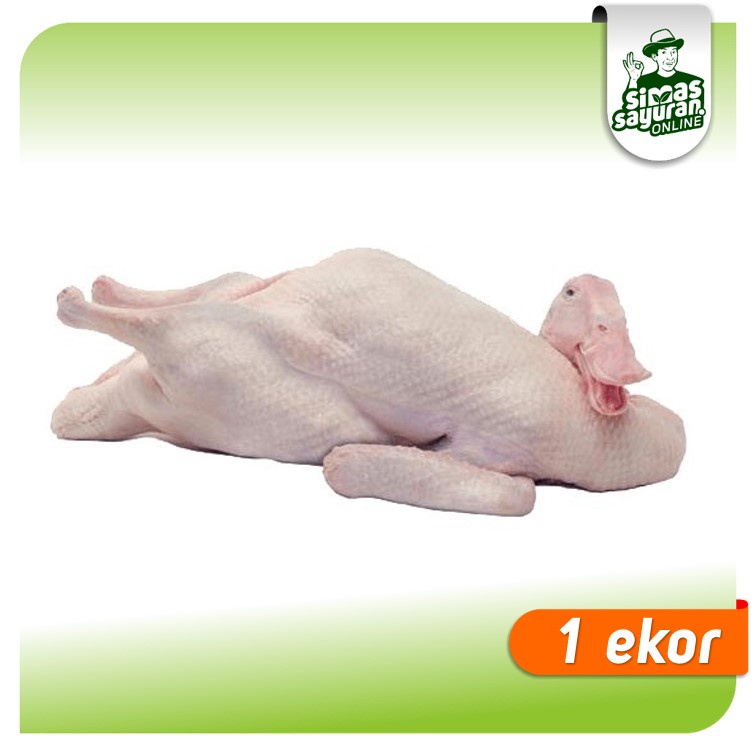 

Bebek Utuh 1 Kg