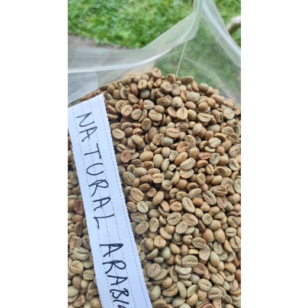 

Green Bean Kintamani, Bali. "Natural Process