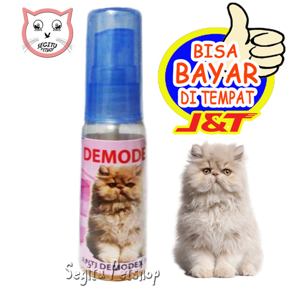 DEMODEX OBAT LUKA KUCING BULU RONTOK BOTAK KORENG JAMUR  Shopee 