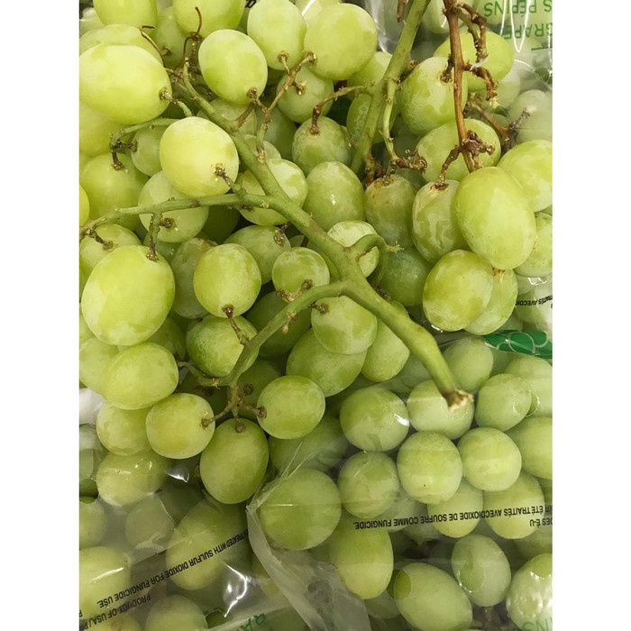 

Green Grape "USA" / Anggur Hijau "USA" 1kg