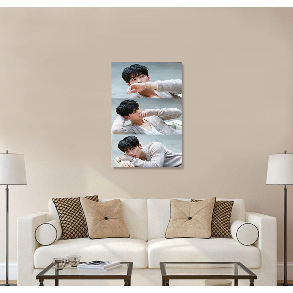 Hiasan Dinding Kamar Cha Eun Woo/Hiasan Dinding Cha EunWoo/Lukisan Cha Eun Woo/Walldecor/Poster Kayu