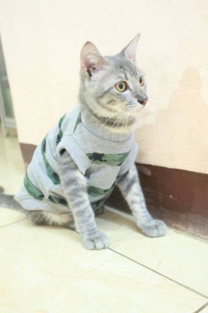 Kaos rip abu motif army strip untuk kucing dan anjing / baju kucing murah size S M L XL