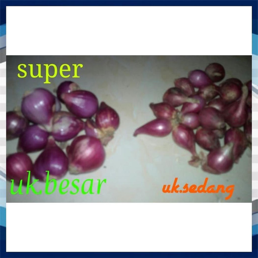

BAWANG MERAH SUPER