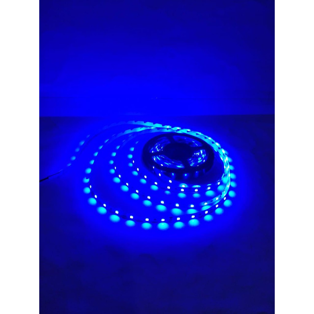 SS [ BIRU BIASA ]  Lampu Led Strip 5 Meter Flexible Led 3528 IP33 - TANPA ADAPTOR