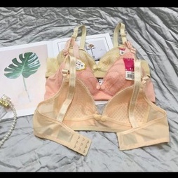 Bra / Bh Wanita Menyusui 227 Busa Tipis Ada Kawat Tanpa Busa Import