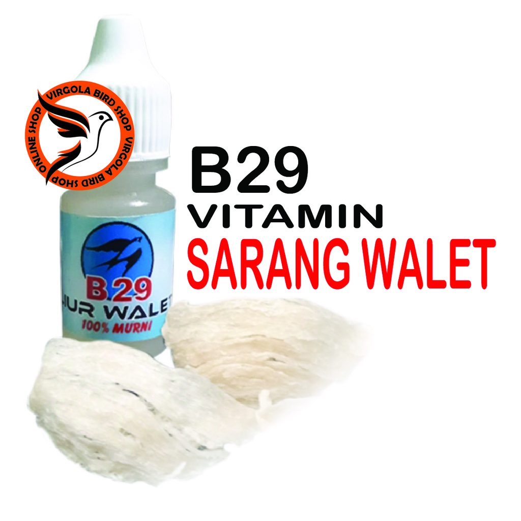 SARANG WALET PENGGACOR SEKETIKA VITAMIN BURUNG