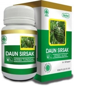 

HIU DAUN SIRSAK - OBAT KANKER TUMOR GROSIR!!