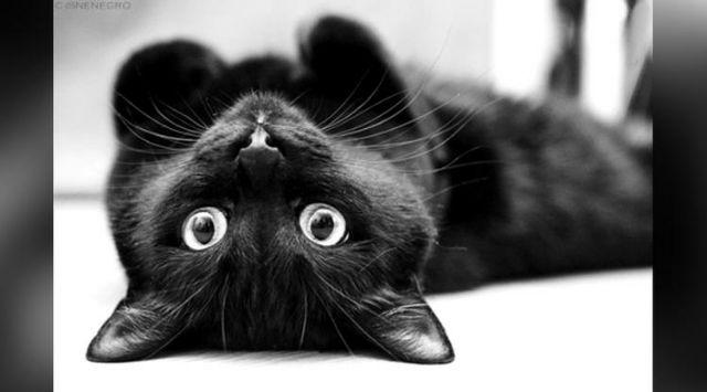 Terlaris Seqiun 2 Led Lol Dan Marvel 15 X 10 Cm