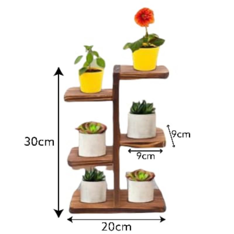 rak pot katus sukulen Haworthia rak Kaktus mini Aloevera Echeveria Succulent cactus bear paw tanaman hias natural aesthetic hiasan hidup