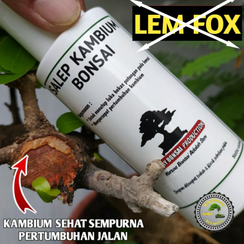 SALEP KAMBIUM BONSAI 100ml