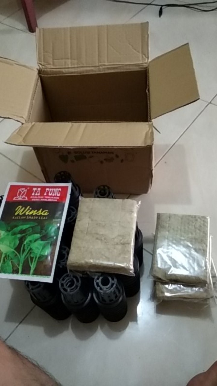 Benih Sayuran Kailan Kale @ 20 Gr Biji Benih Sayuran Bibit Sayur Tanaman Hidroponik Organik