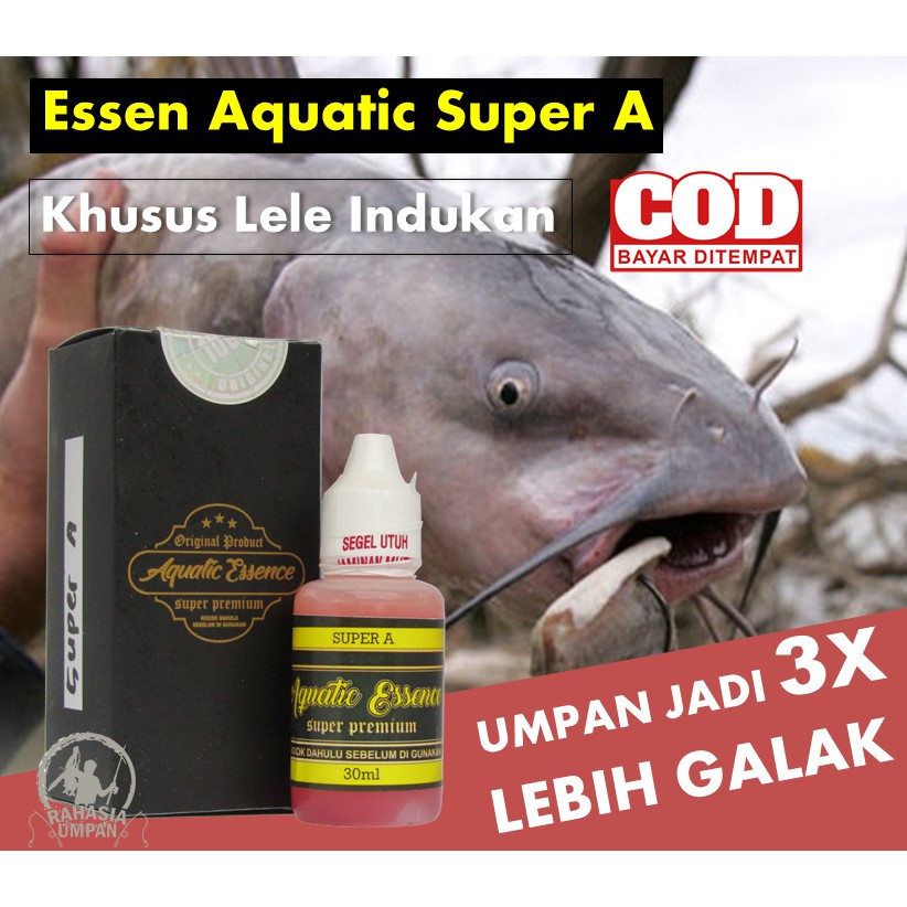 Best Seller Essen Lele Indukan Paling Bagus - Aquatic Essen Super A - Siang Malam