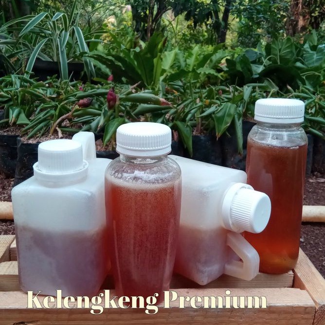

Madu Kelengkeng Premium Isi Bersih 500 gram
