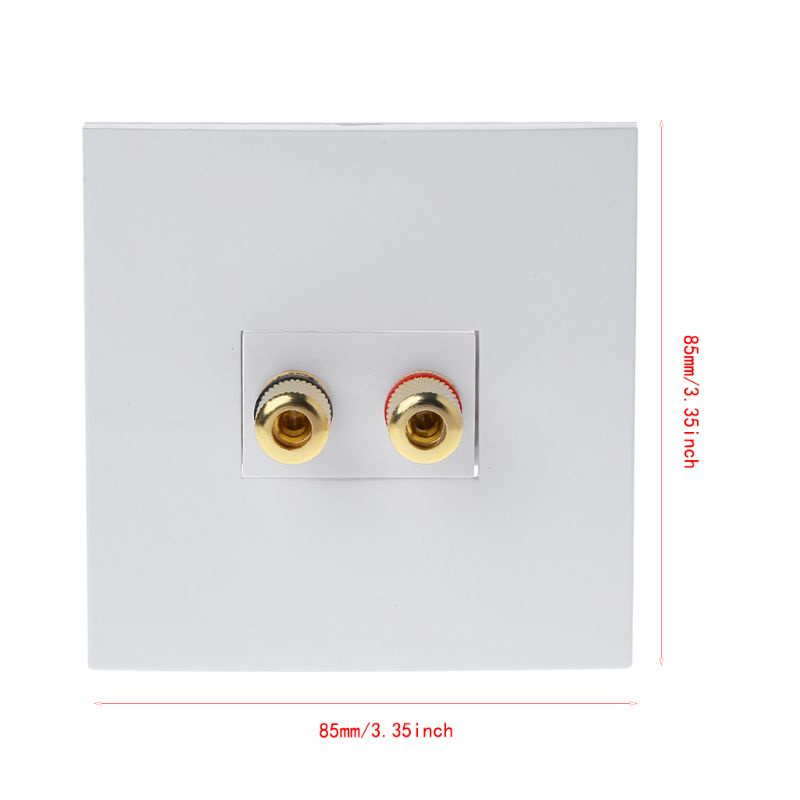 btsg Audio Panel Terminals 2 Binding Post Left Right Channels Speaker Connector Wall Socket Banana Jack