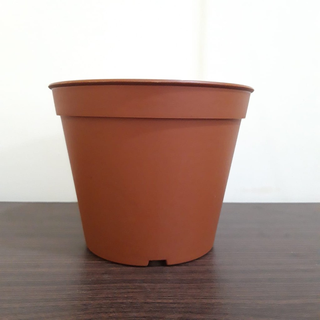 Pot Bunga diansari 20 cm/ Pot Bunga bukan tawon 20