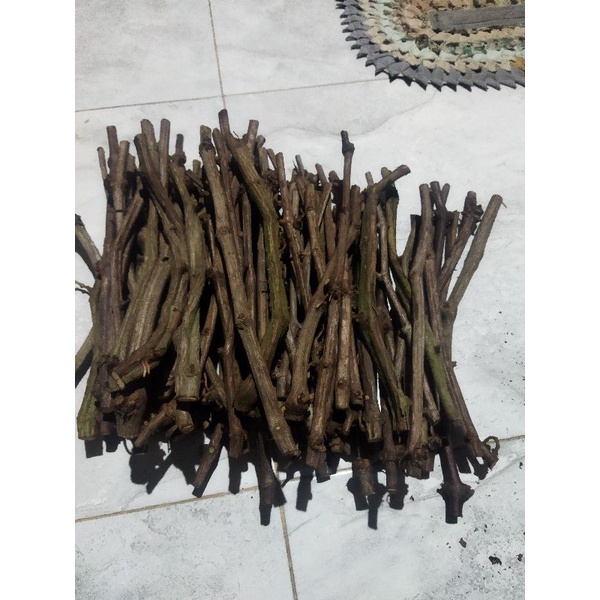 cutting anggur import