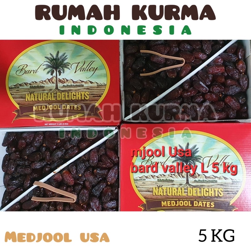 

Kurma Barari Medjool USA 5 Kg Original BPOM