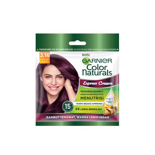 GARNIER COLOR NATURALS / CAT RAMBUT SACHET 20GR + 20 GR