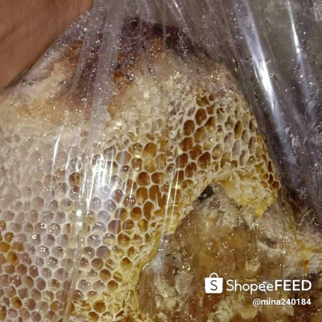 

Madu hutan Apis Dorsata