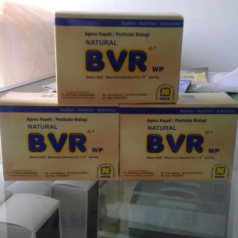 bvr, obat hama nasa, hama padi