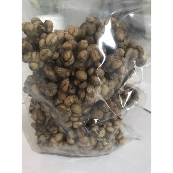 

kopi luwak biji kotor 1 kg