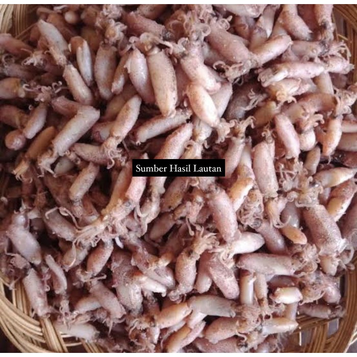 

Baby Cumi Asin Premium 500Gram