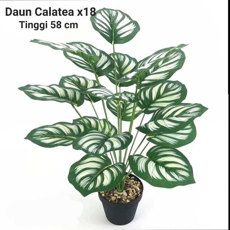 Pohon Monstera Series / Daun Keladi x18 ( Tanpa Pot )