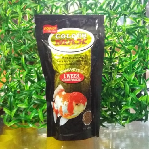 PELET IKAN HOKKY COLOR MAX 100GR PELET MAKANAN IKAN KOKI