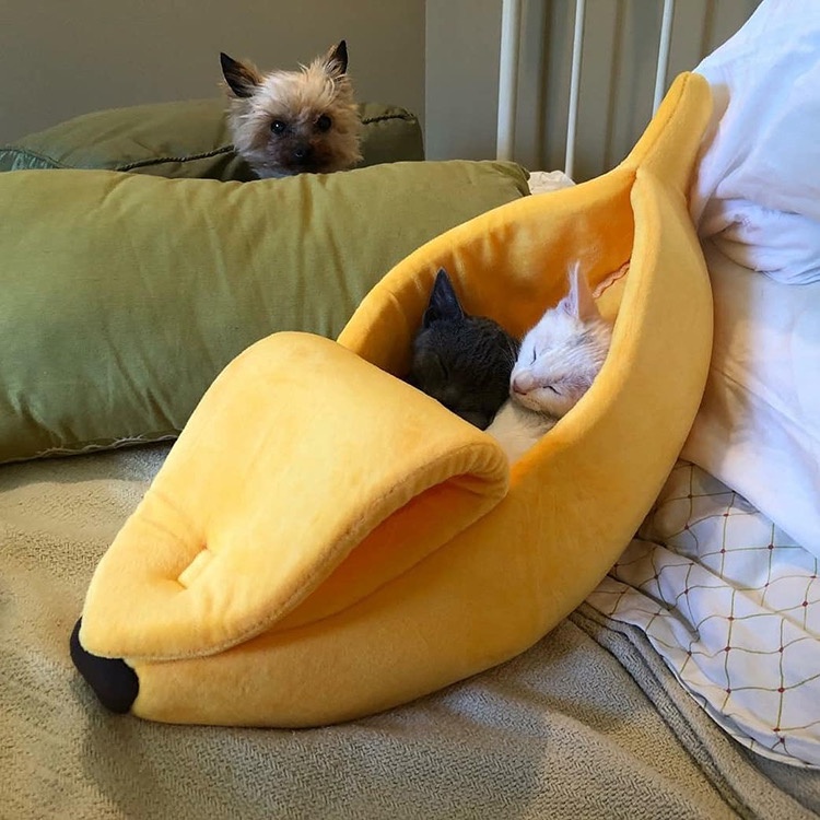 Tempat Tidur Anjing Kucing Pisang - Pet Banana Bed